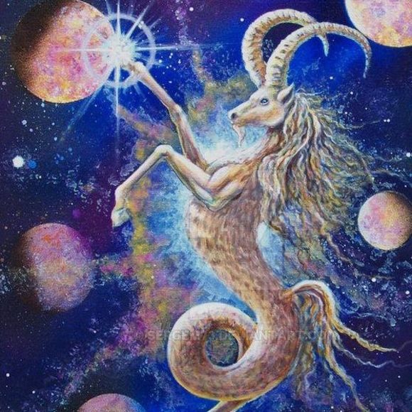 Meet your Posher, Napo - Picture 1 of 1